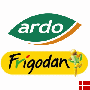 Ardo