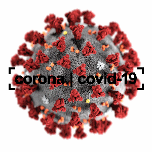 Corona/Covid-19