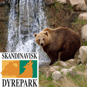 Skandinavisk Dyrepark